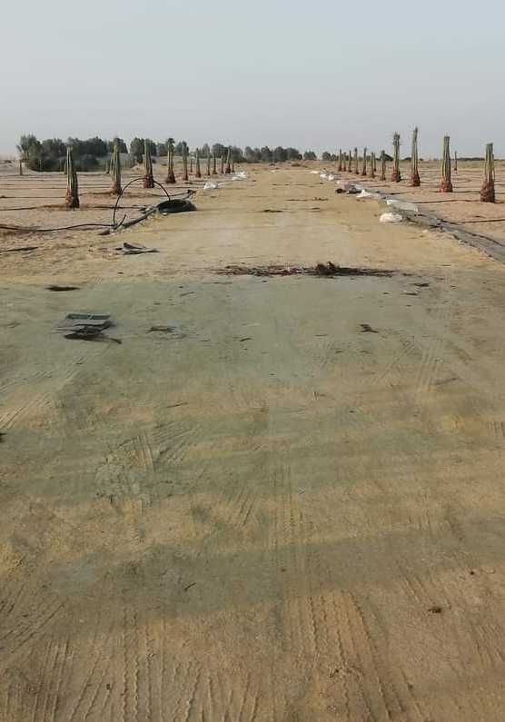 مقاول شبوك مزارع ونخيل وبيوت تراثيه 0530866243