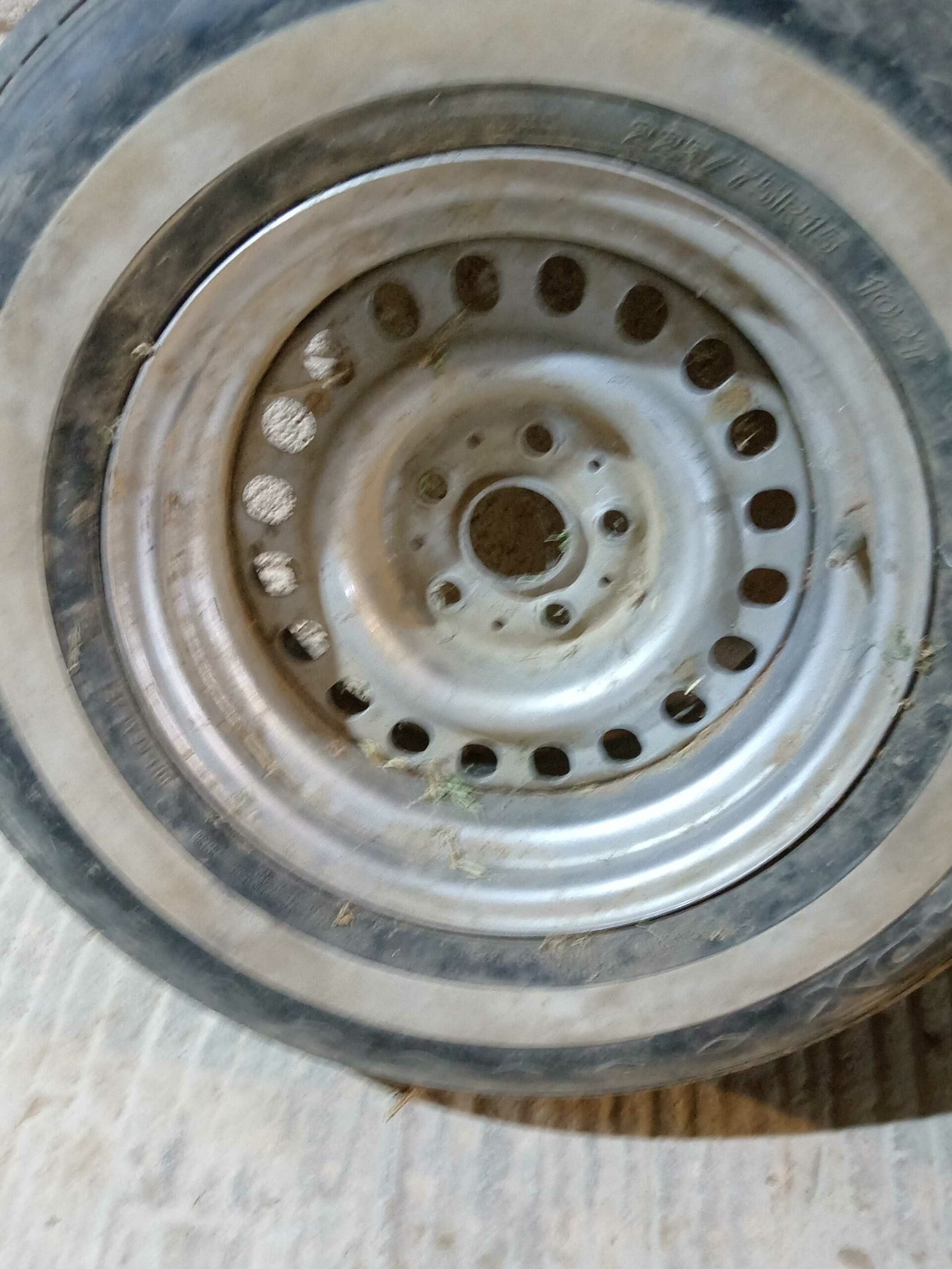 الجنادريه نادي الفروسيه