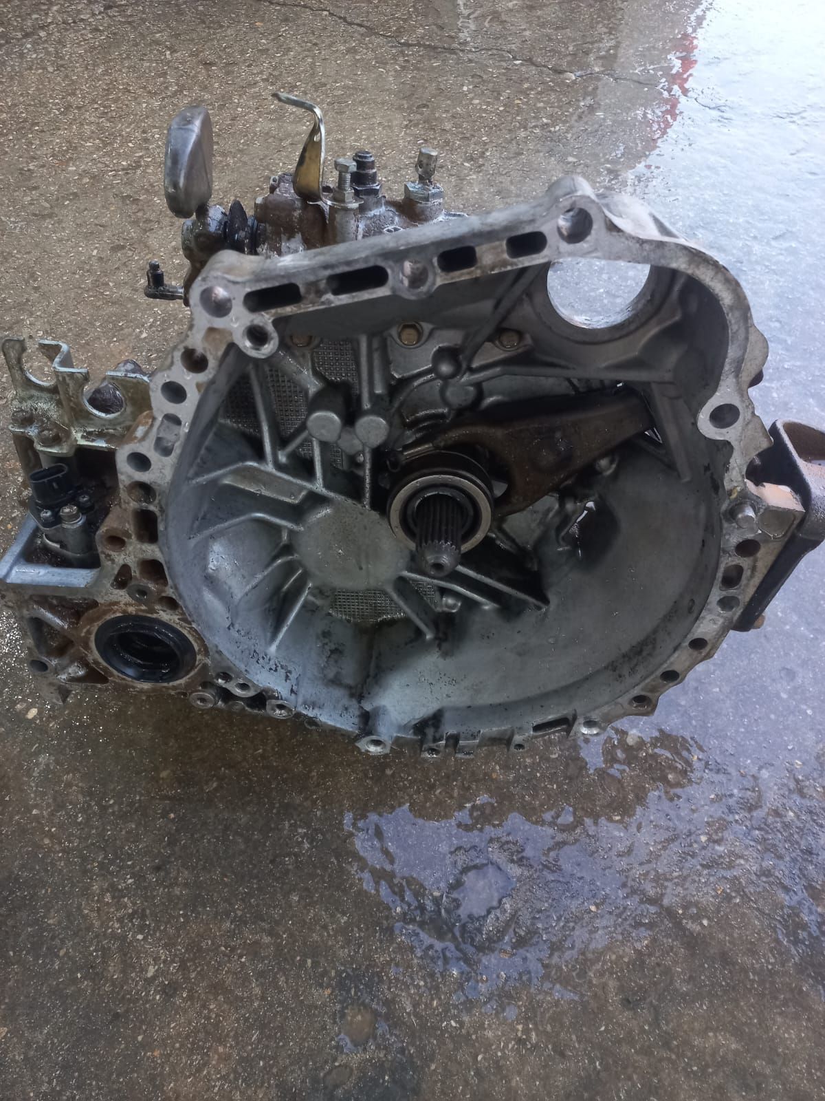 حى عجيبه بريده القصيم