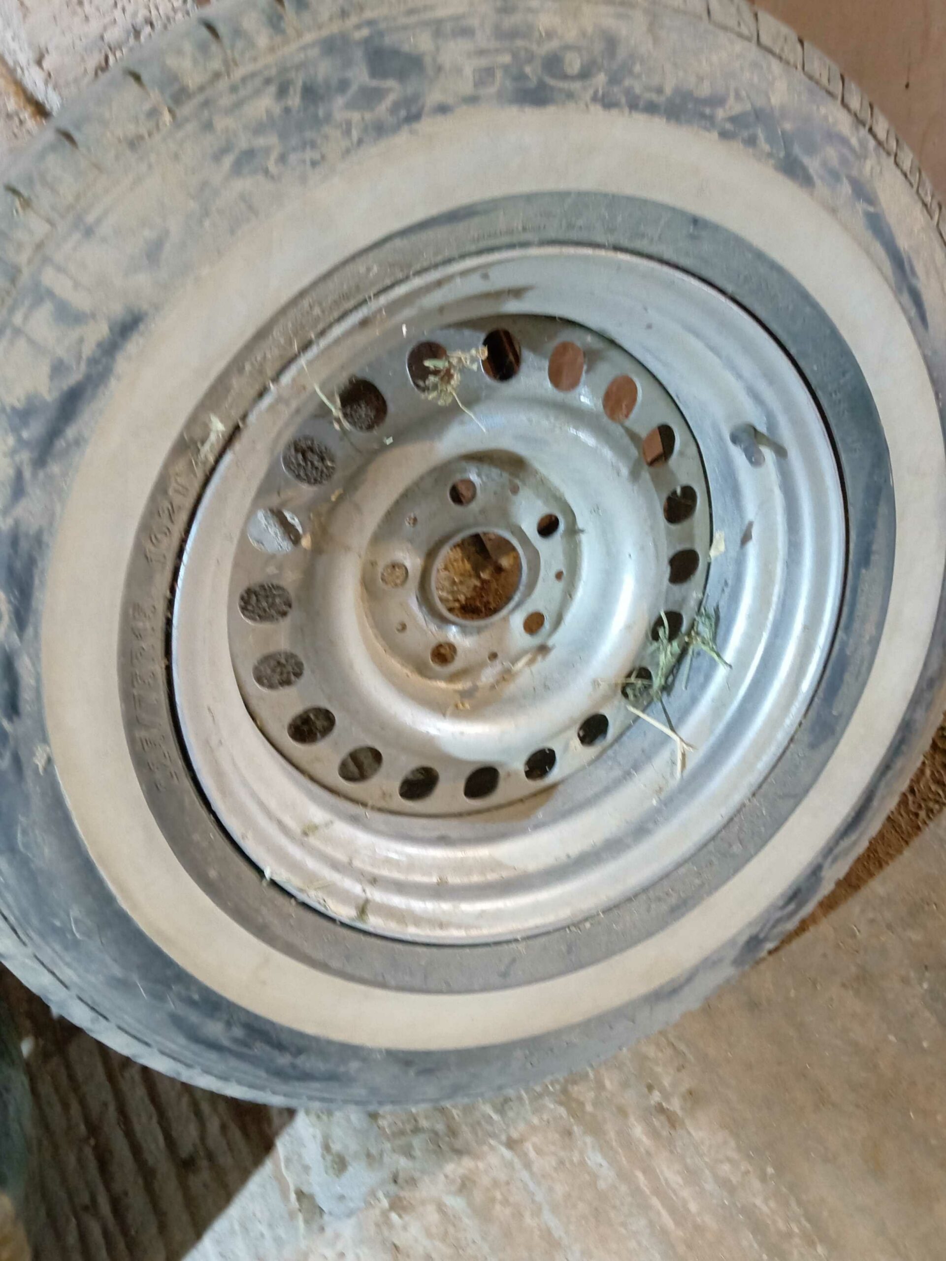 الجنادريه نادي الفروسيه