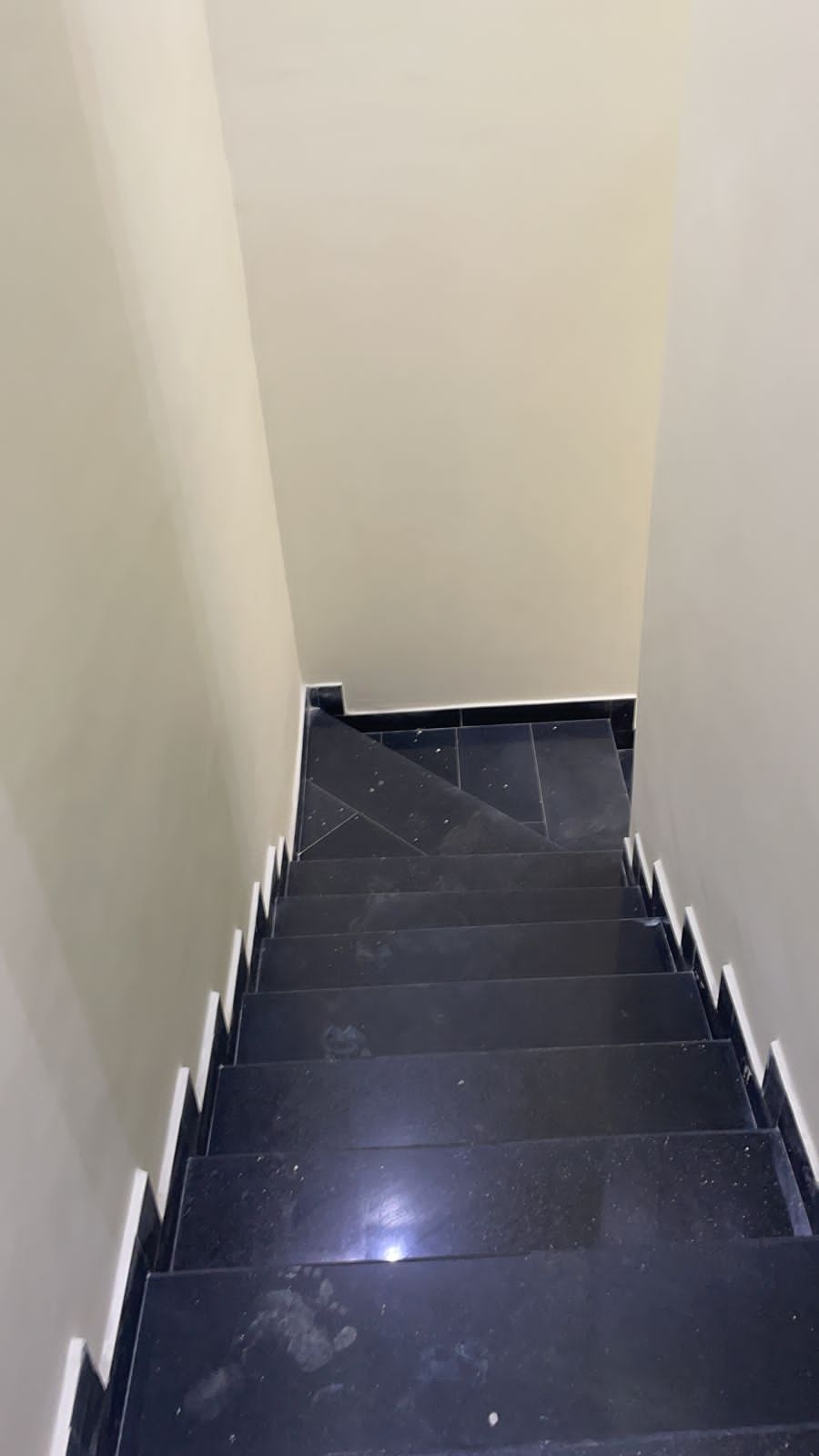 خميس مشيط ،مخطط الثمانيين خلف الجوازات