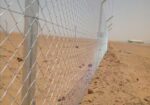 مقاول شبوك