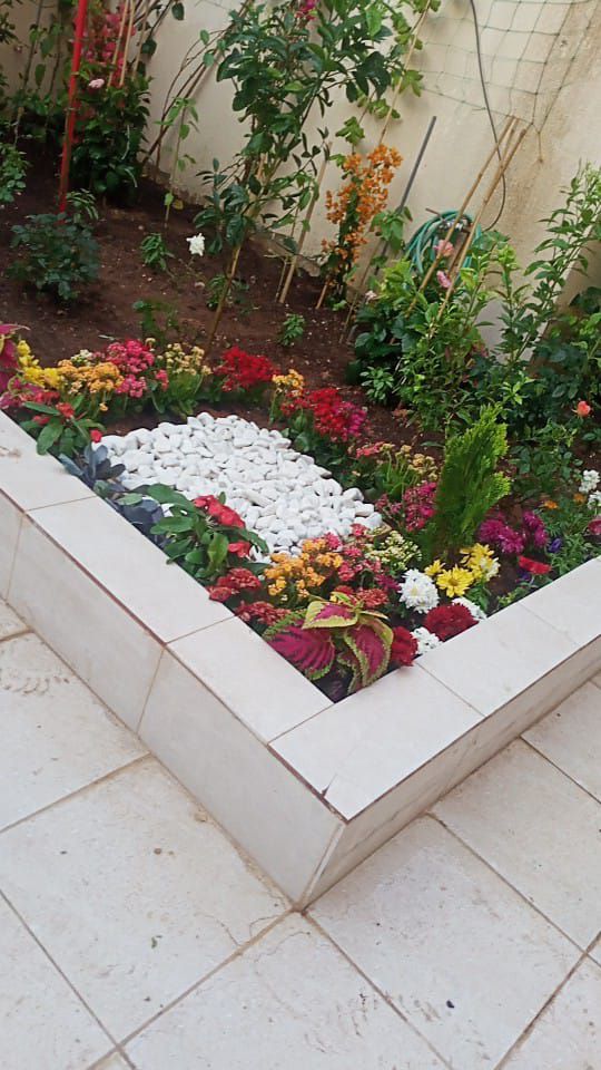 حي الياسمين