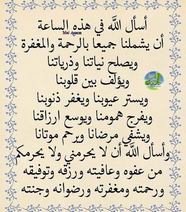 شيول للايجار تحميل مخلفات حفريات يوجد تريلات بريده