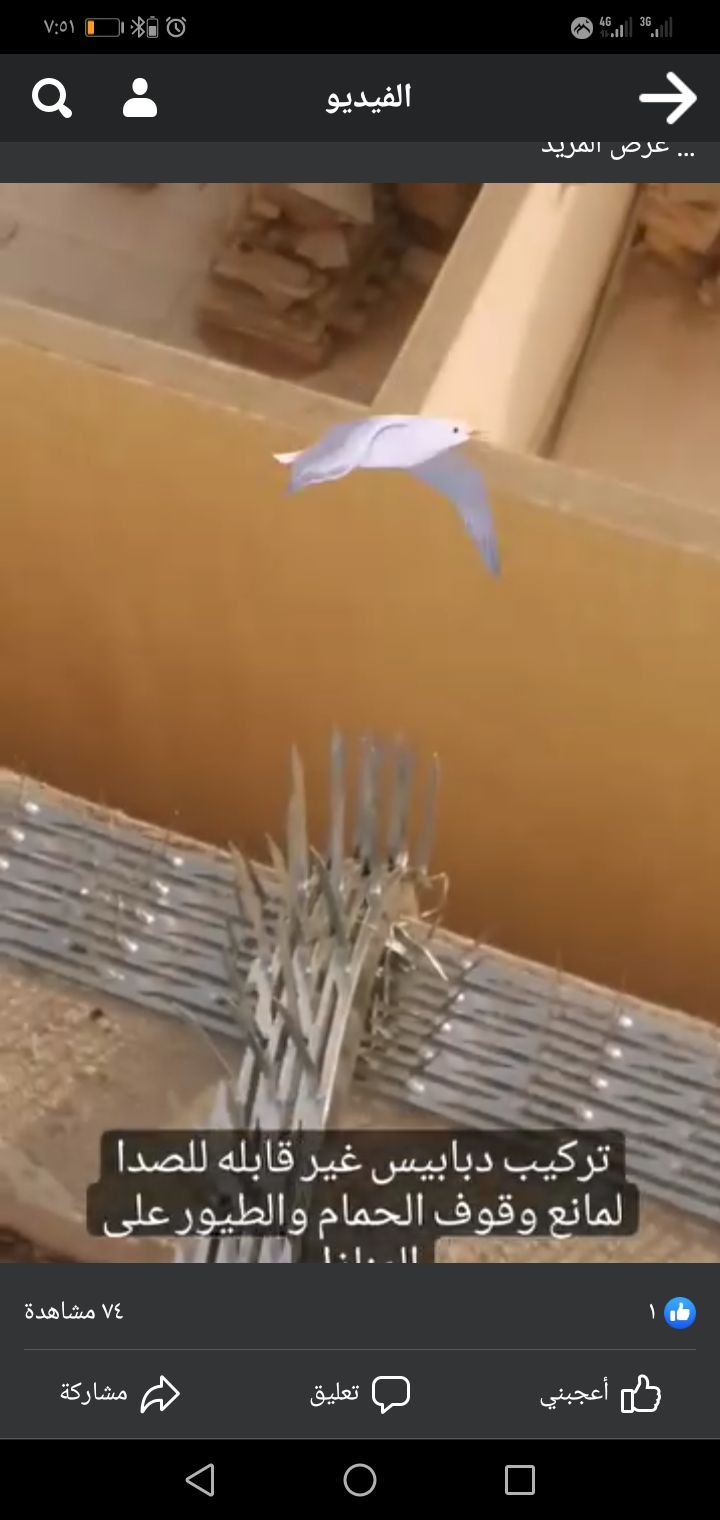 دبابيس طارد الحمام محافظ على نظافة البيت من الخارج