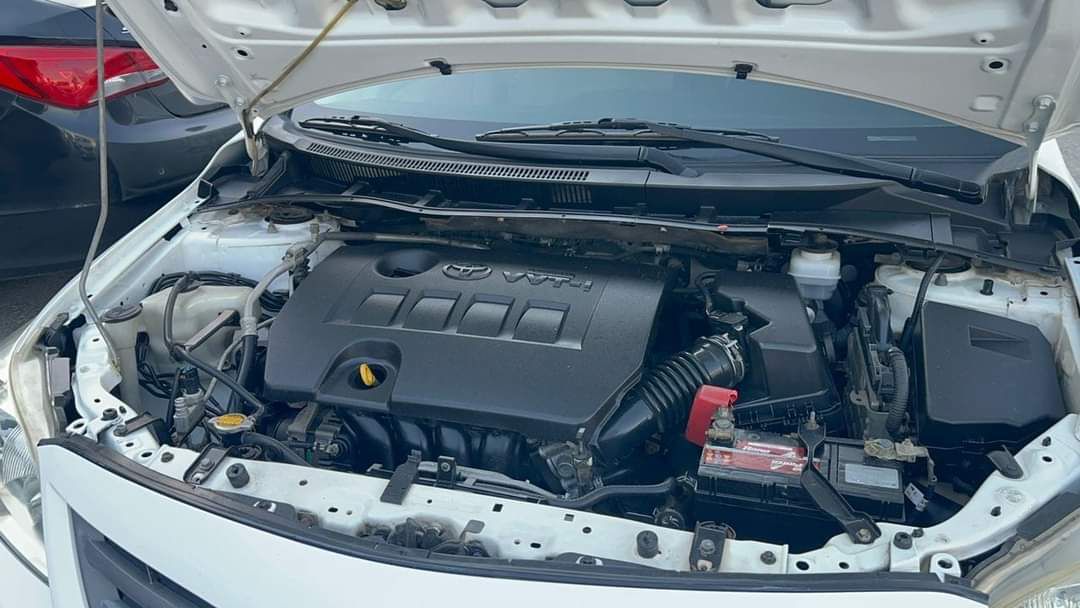 السعوديه الرياض