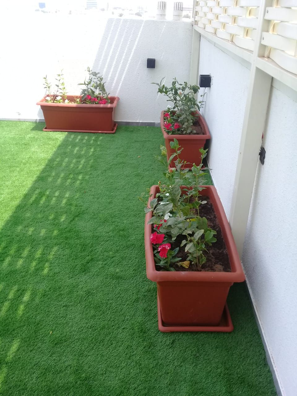 تنسيق حدائق جدة ومكه