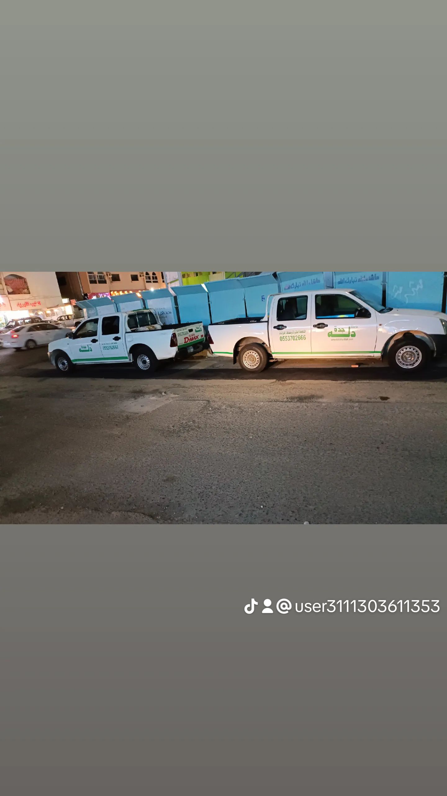 شركة مكافحة حشرات بجدة