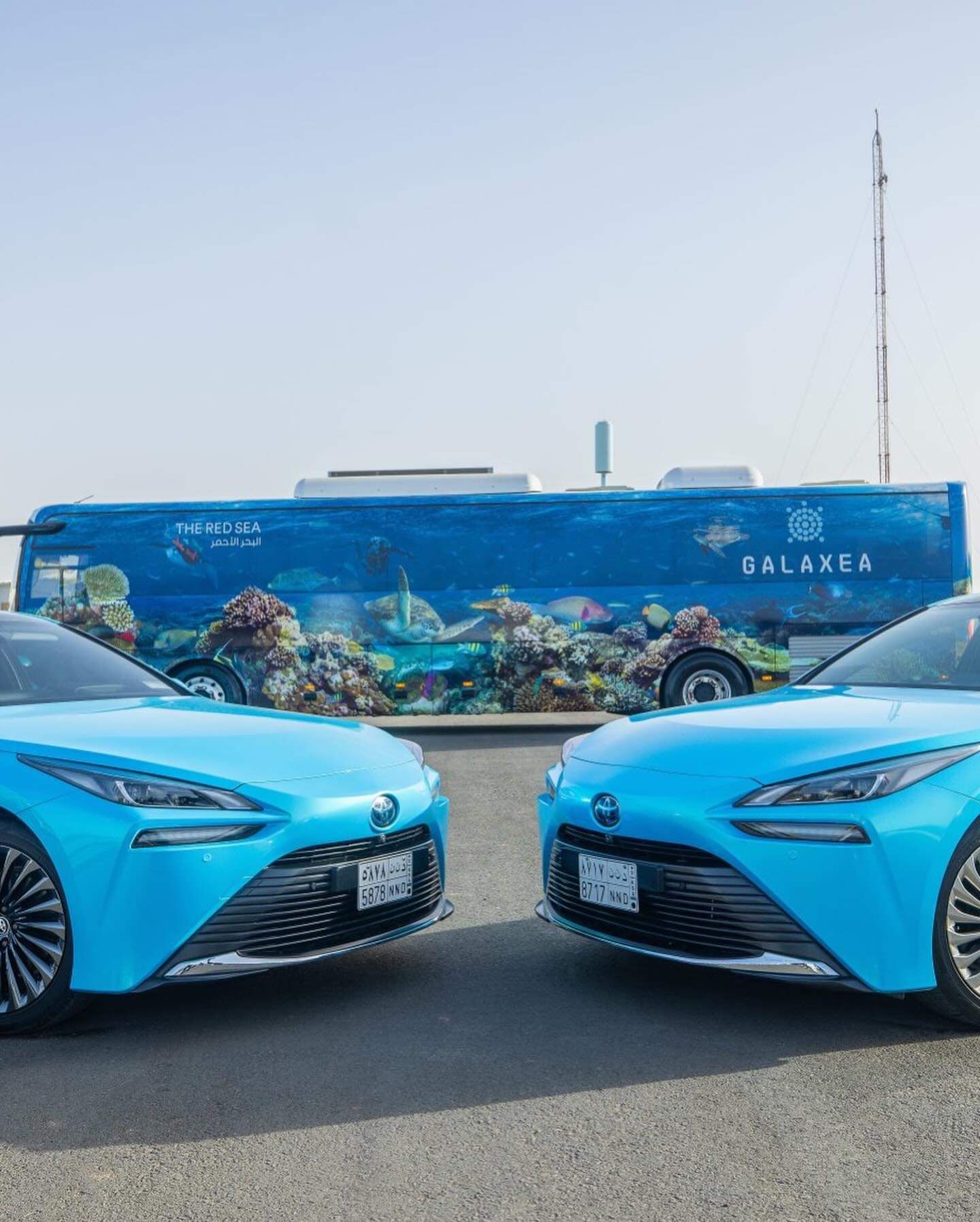 مجموعة البازعي