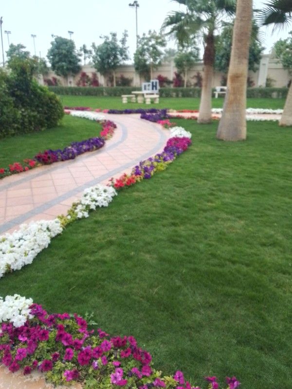 تنسيق حدائق وقص الثيل وتركيب وتوريد جميع انواع الث