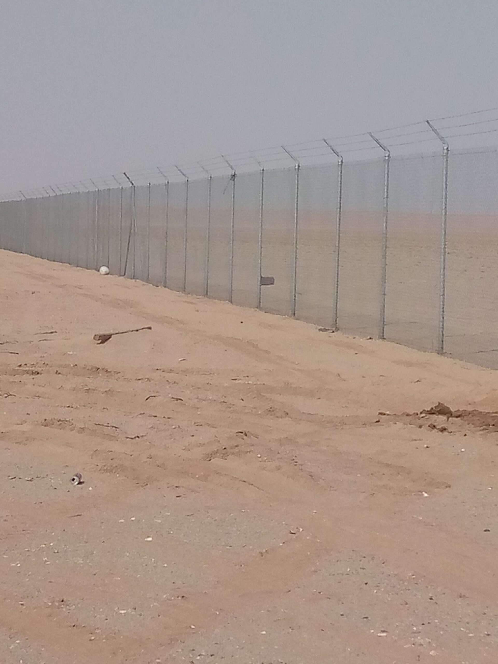 مقاول شبوك ونخيل