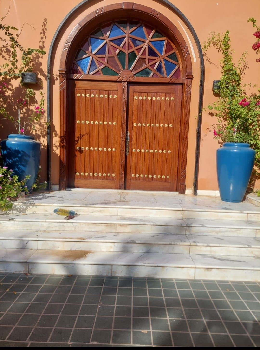 معلم دهان جميع انواع الخشب